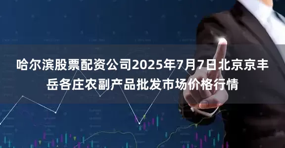 哈尔滨股票配资公司2025年7月7日北京京丰岳各庄农副产品批发市场价格行情