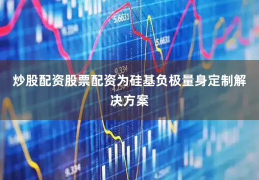 炒股配资股票配资为硅基负极量身定制解决方案