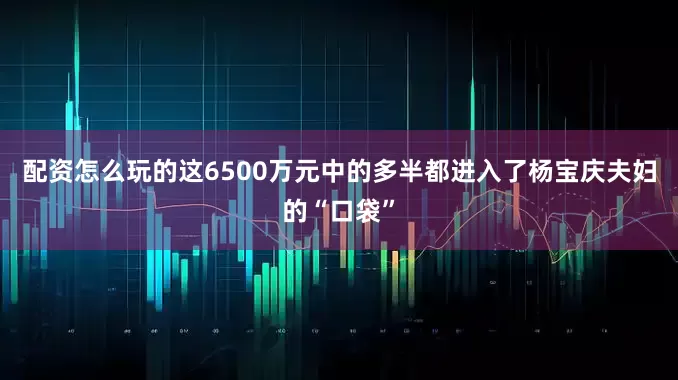 配资怎么玩的这6500万元中的多半都进入了杨宝庆夫妇的“口袋”